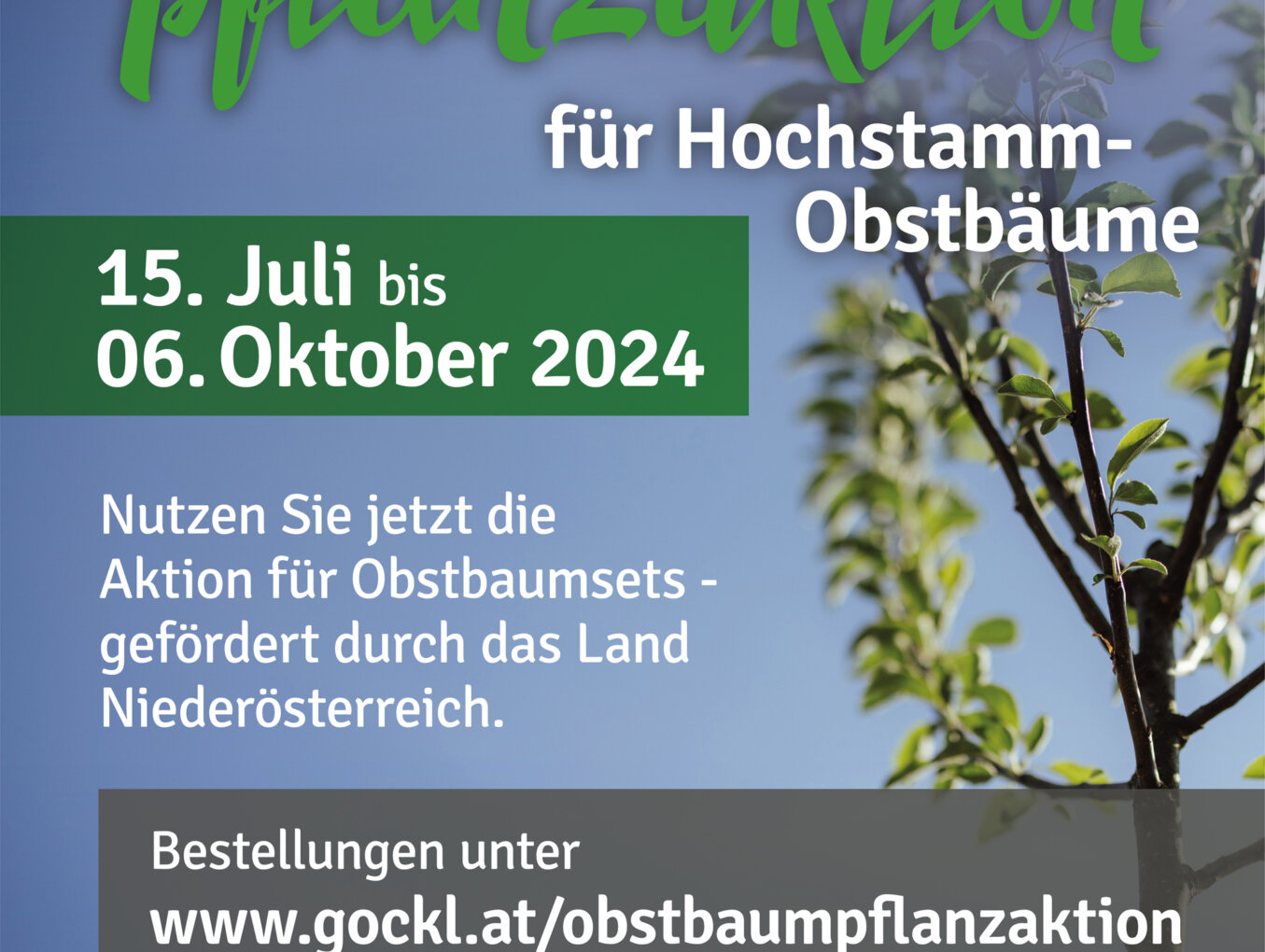 Obstbaumpflanzaktion für Hochstamm-Obstbäume 15. Juli bis 06. Oktober 2024